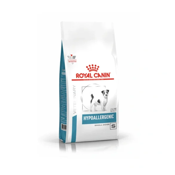 Hypoallerginic Small Dog