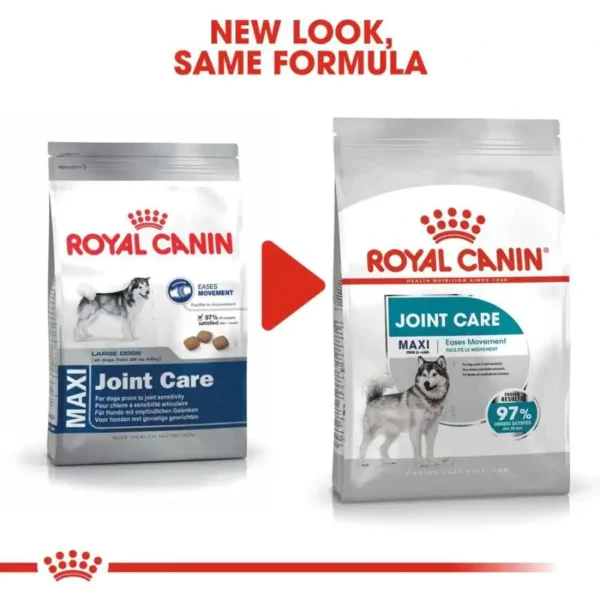 Joint Care Maxi - Image 2