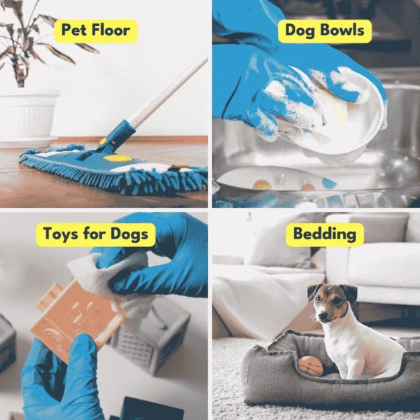Kennel Hygiene - Image 3