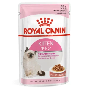 Kitten Gravy