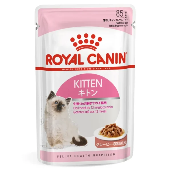 Kitten Gravy