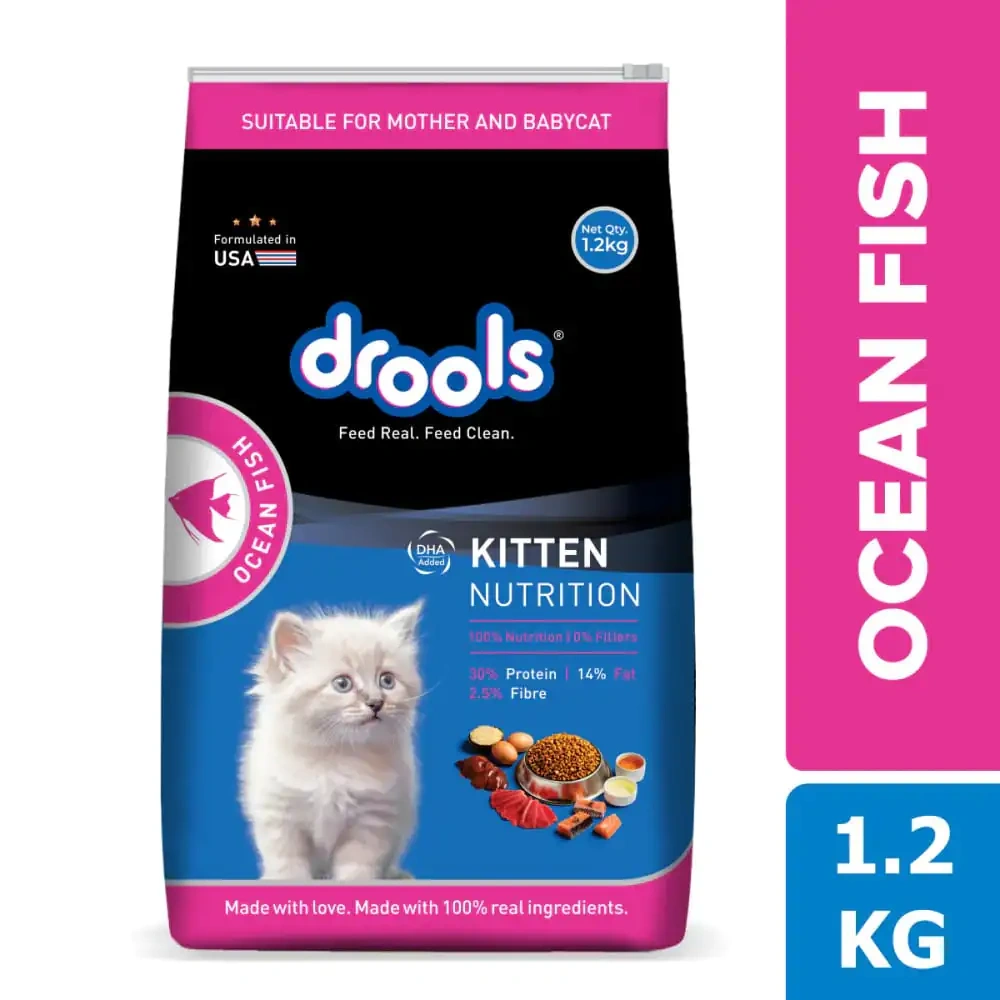 Drools Ocean Fish Kitten Cat Dry Food - Image 3