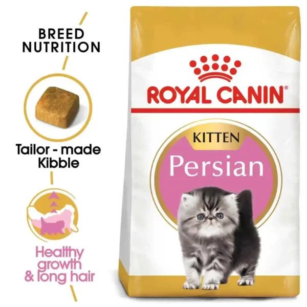 Kitten Persion - Image 2