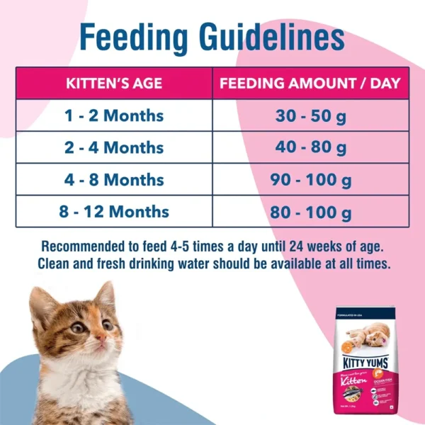Kitty Yums Dry Cat Food Ocean Fish Kitten - Image 4