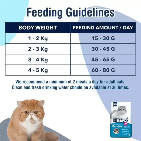 Kitty Yums Ocean Fish Persian Cat Dry Food - Image 3