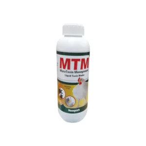 MTM