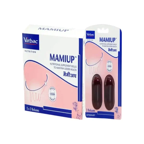 Mamiup Bolus