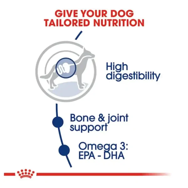 Royal Canin Maxi Adult Dry Dog Food - Image 4