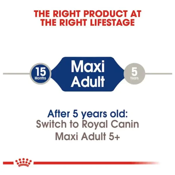 Royal Canin Maxi Adult Dry Dog Food - Image 2