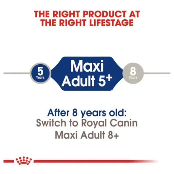Royal Canin Maxi 5+ Adult Dog Dry Food - Image 4