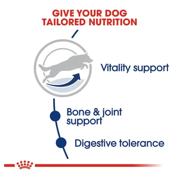 Royal Canin Maxi 5+ Adult Dog Dry Food - Image 2