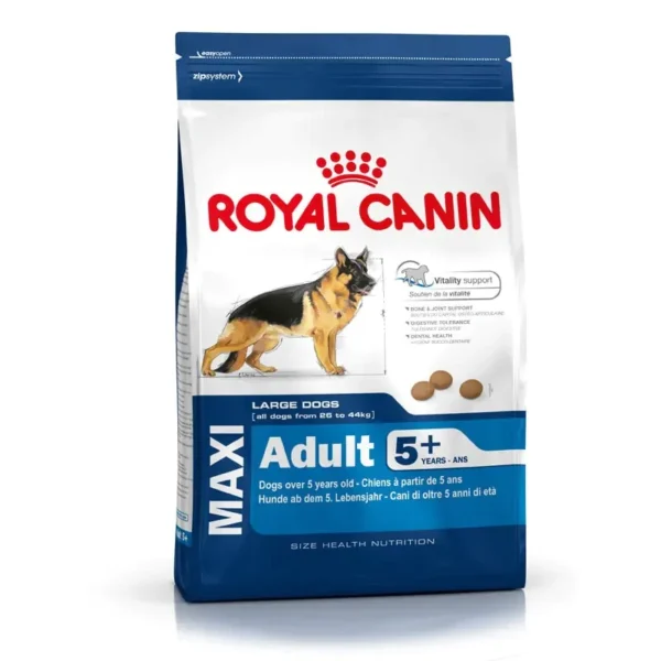 Maxi Adult 5+