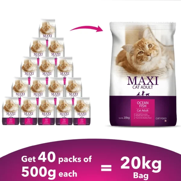 Maxi Adult Cat - Image 3