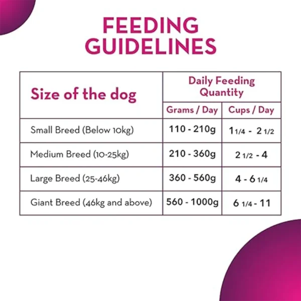 Maxi Ocean Fish Adult Dry Cat Food - Image 4