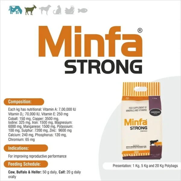 MINFA STRONG POWDER - Image 2