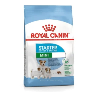 Mini Starter
