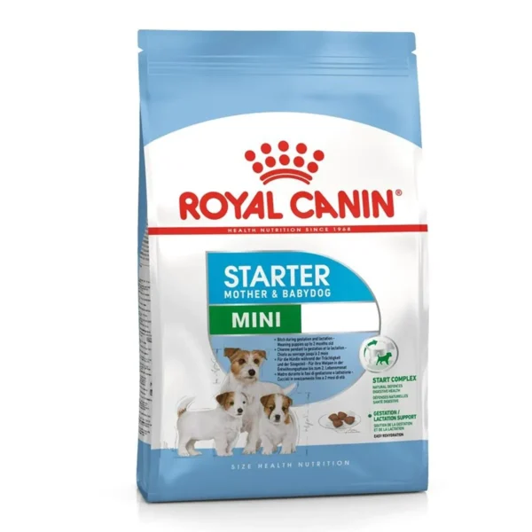 Mini Starter