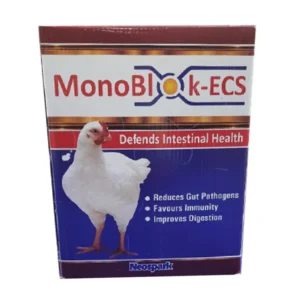 MonoBlok-ECS