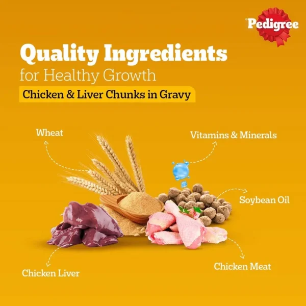 Pedigree Chicken and Liver Chunks in Gravy Puppy Wet Food - Image 4