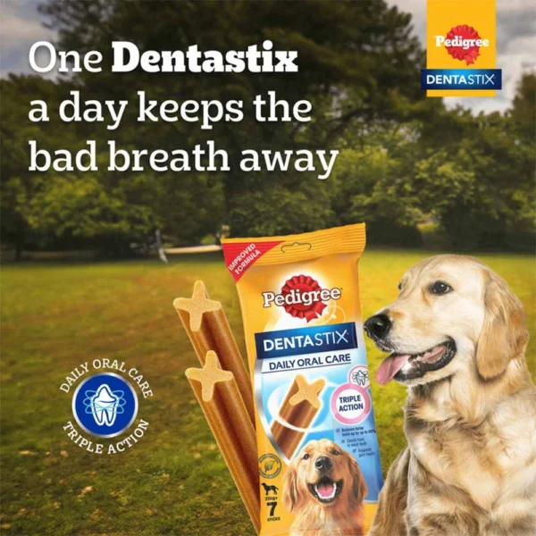 Pedigree Dentastix Oral Care Treats Large - Image 10