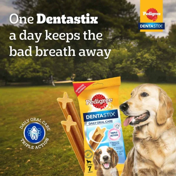 Pedigree Dentastix Oral Care Treats Medium - Image 10