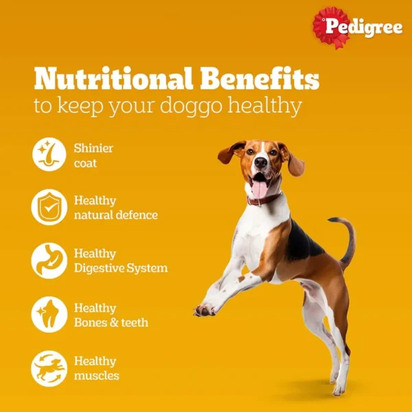 Pedigree Meat and Rice Adult Dry Dog Food - Image 3