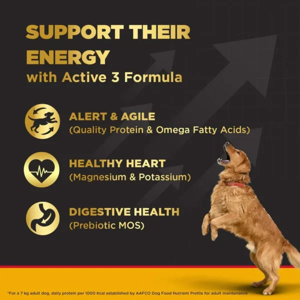 Pedigree Pro Large Breed Adult Dog Dry Food - Image 3