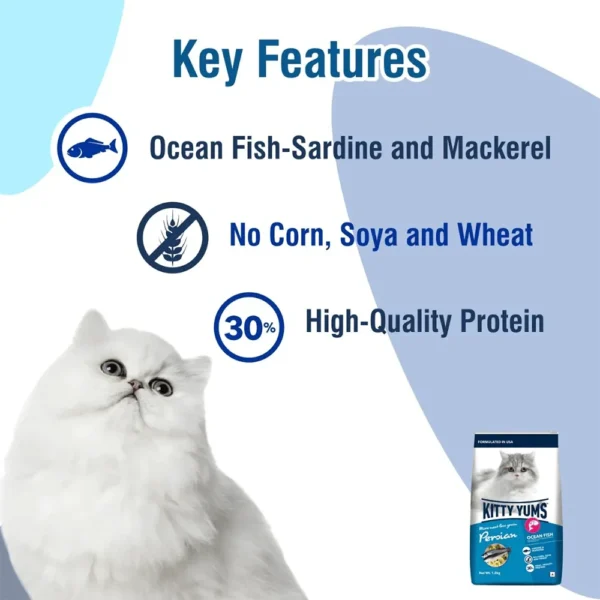 Kitty Yums Persian Adult Dry Cat Food, Ocean Fish, 1.2kg Pack - Image 3