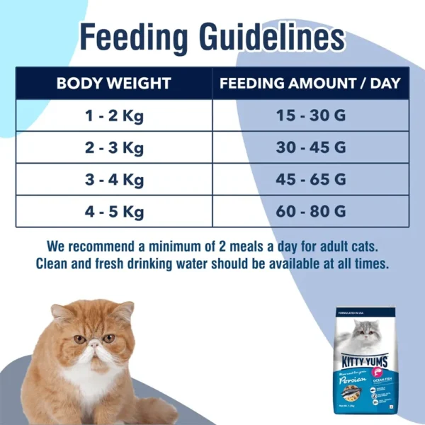Kitty Yums Persian Adult Dry Cat Food, Ocean Fish, 1.2kg Pack - Image 4
