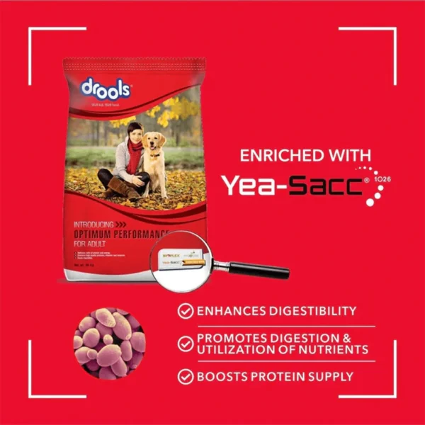 Drools Optimum Performance Adult Dog Dry Food - Image 4