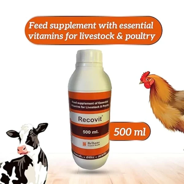 Recovit - Image 2