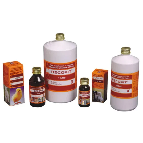 Recovit - Image 3