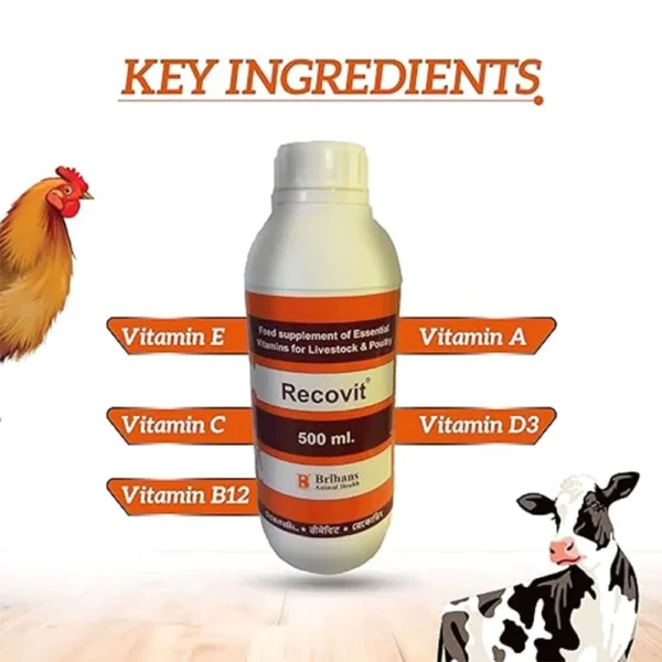 Recovit - Image 4