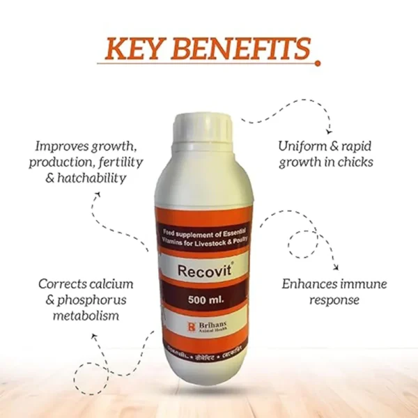 Recovit - Image 5