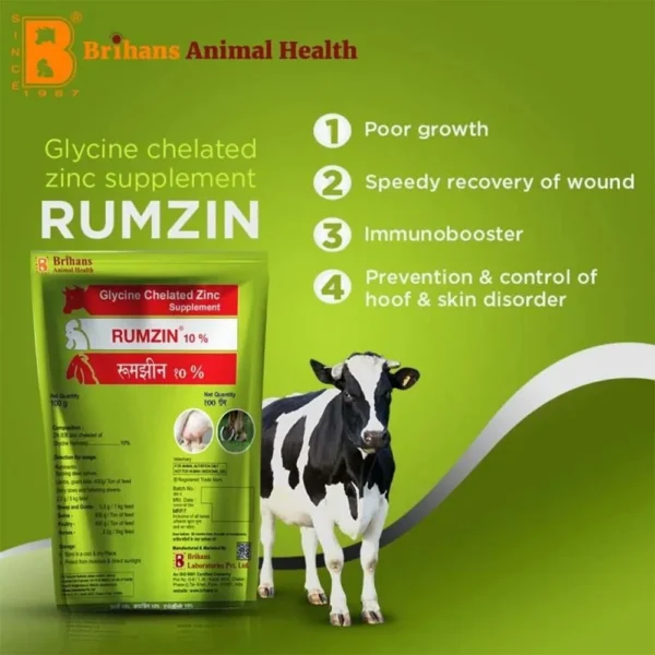 Rumzin - Image 2