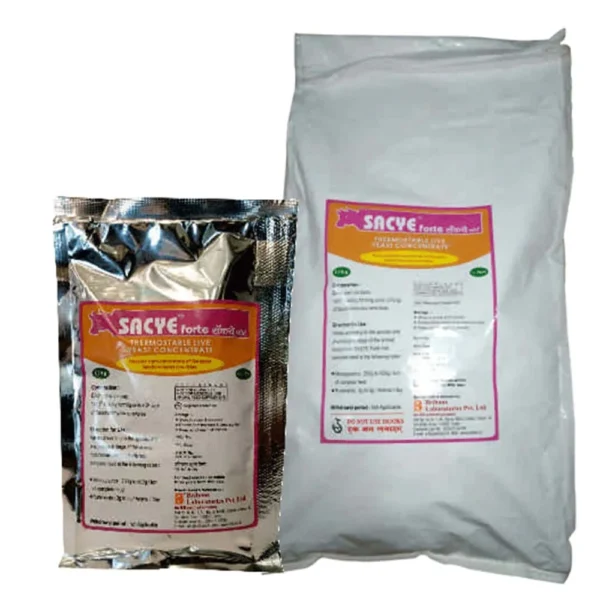 Sacye Forte - Image 2