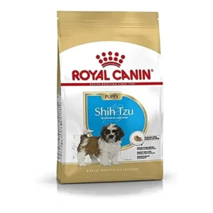 Shih Tzu Puppy