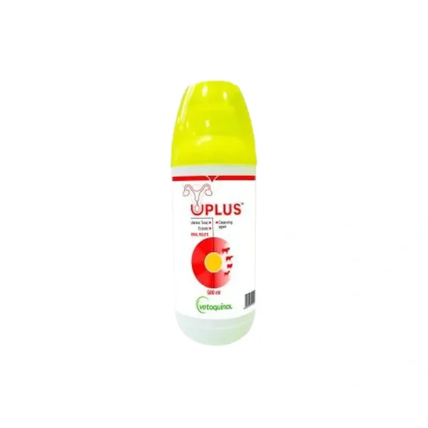 UPLUS