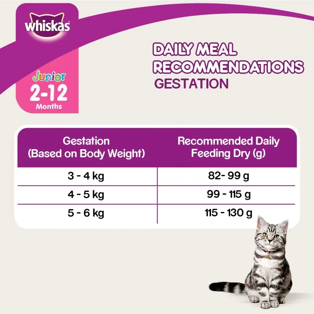 Whiskas Junior Mackerel Dry Food - Image 10