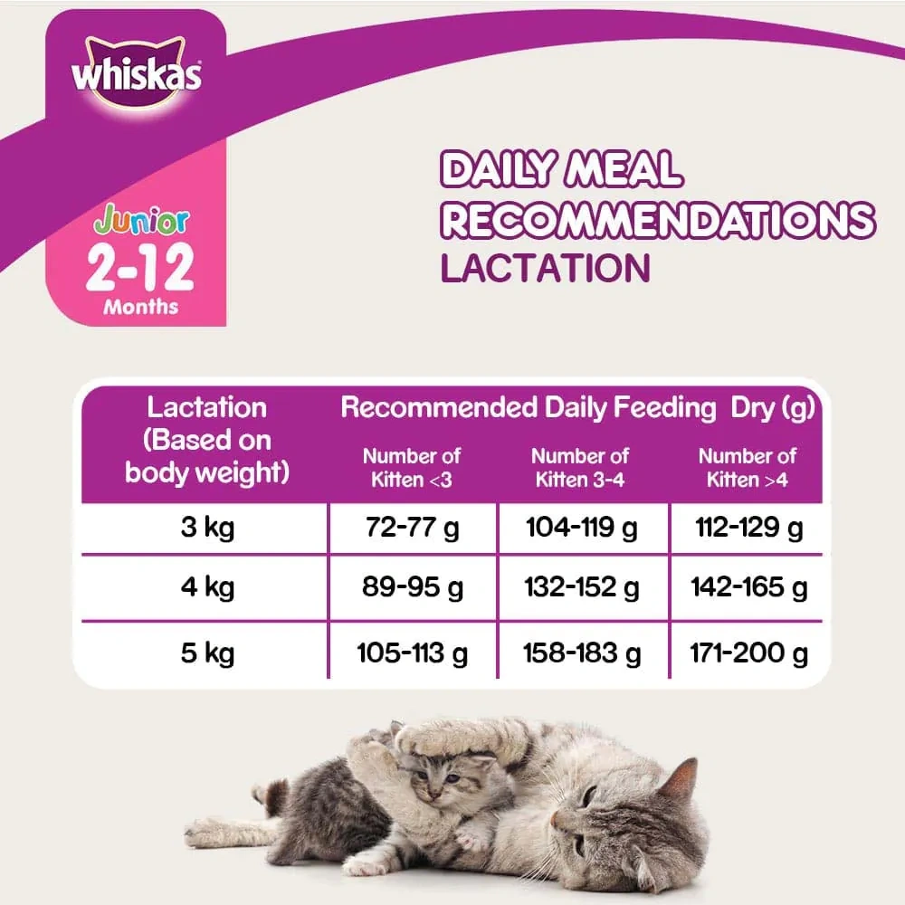 Whiskas Junior Mackerel Dry Food - Image 11