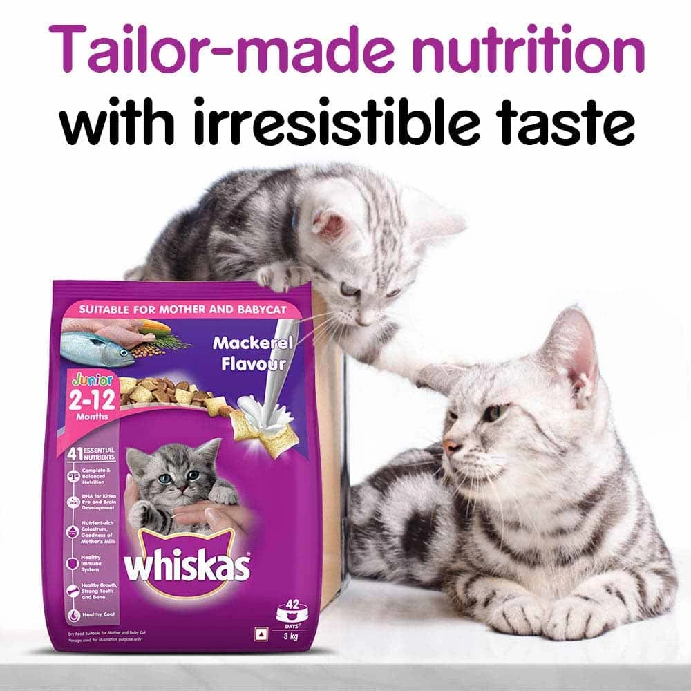 Whiskas Junior Mackerel Dry Food - Image 12