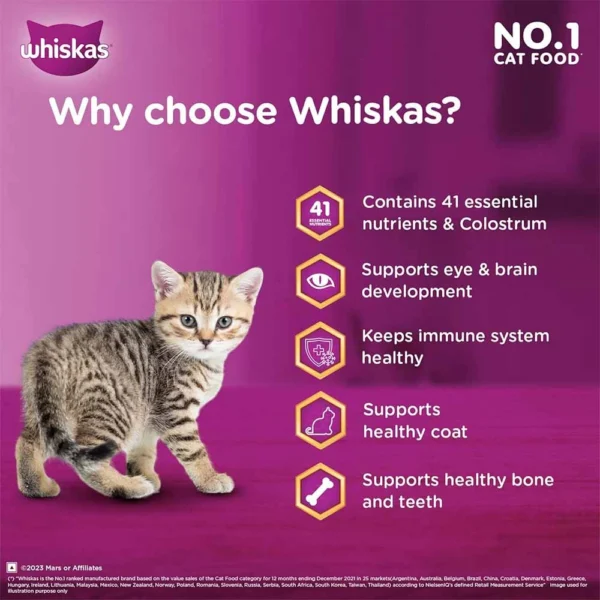Whiskas Junior Ocean Fish with Milk Kitten Dry Food - Image 6