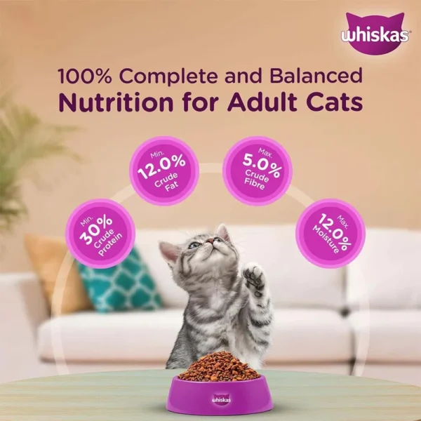 Whiskas Junior Ocean Fish with Milk Kitten Dry Food - Image 7