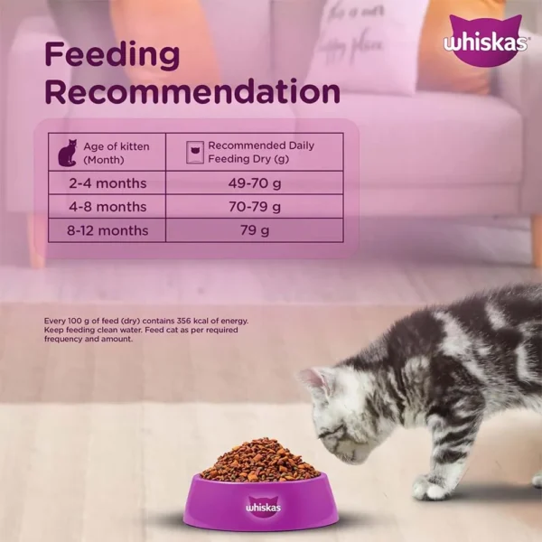 Whiskas Junior Ocean Fish with Milk Kitten Dry Food - Image 8