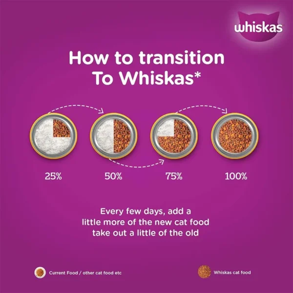 Whiskas Junior Ocean Fish with Milk Kitten Dry Food - Image 9