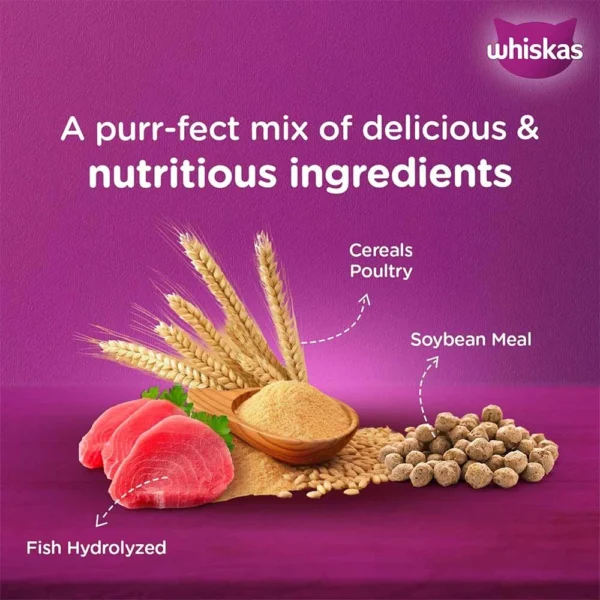 Whiskas Mackerel Flavour Adult Cat Dry Food - Image 4