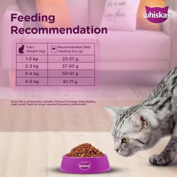 Whiskas Tuna Flavour Adult Cat Dry Food - Image 9