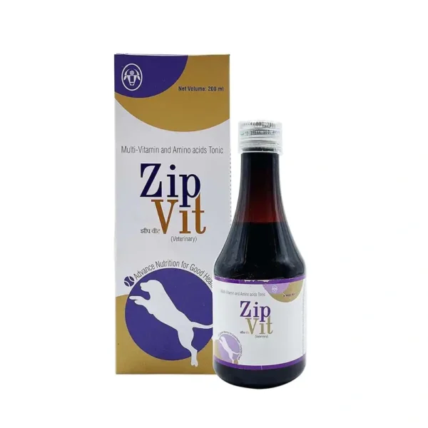 ZipVit