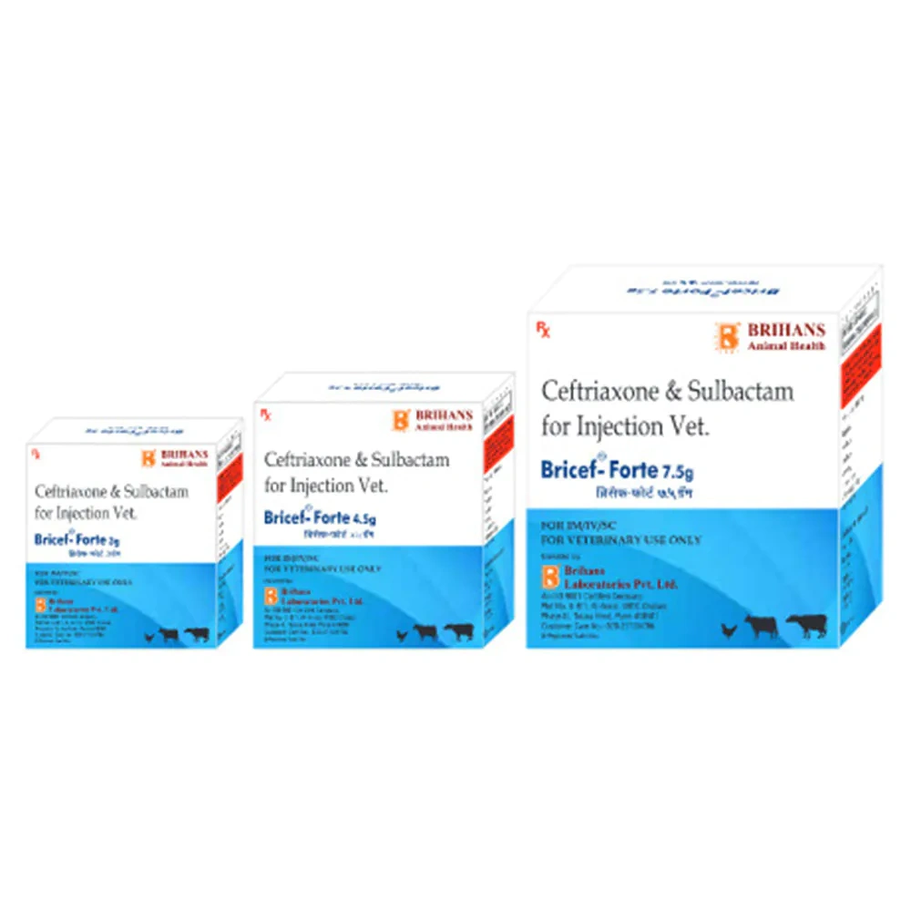 Bricef Forte Inj – Broad-Spectrum Antibiotic for Animals - Image 6