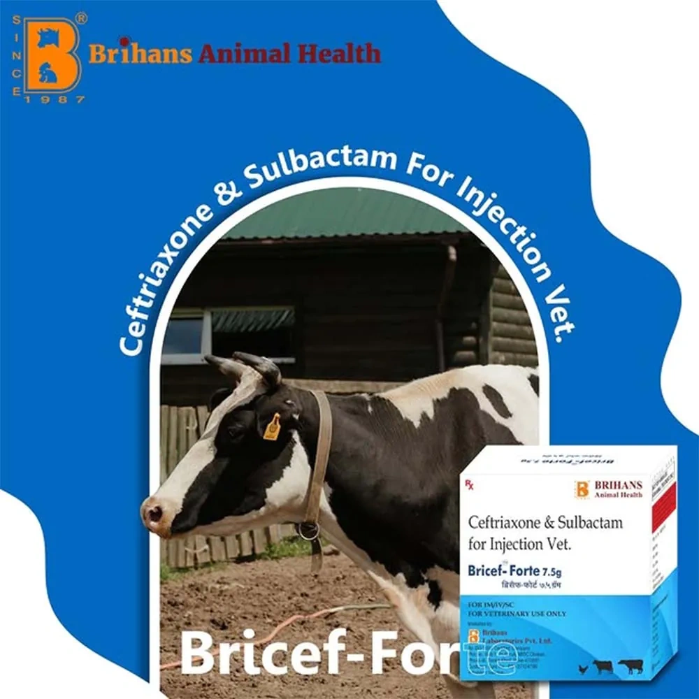 Bricef Forte Inj – Broad-Spectrum Antibiotic for Animals - Image 5